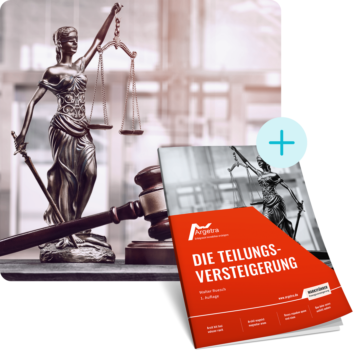 BasisWebinar - Teilungsversteigerung